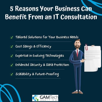 5 Reasons your business can benefit from an IT consultant infographic